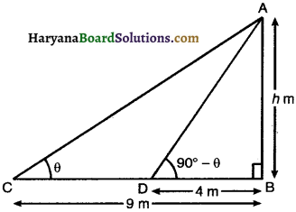 Haryana Board 10th Class Maths Solutions Chapter 9 Some Applications of Trigonometry Ex 9.1 16