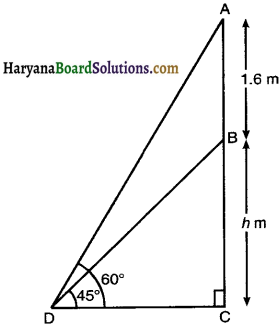 Haryana Board 10th Class Maths Solutions Chapter 9 Some Applications of Trigonometry Ex 9.1 8