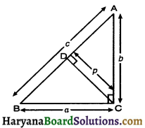 HBSE 10th Class Maths Important Questions Chapter 6 Triangles - 16
