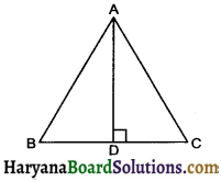 HBSE 10th Class Maths Important Questions Chapter 6 Triangles - 19