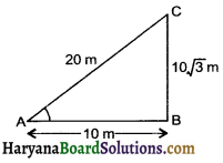 HBSE 10th Class Maths Important Questions Chapter 9 Some Applications of Trigonometry - 11