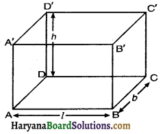 HBSE 10th Class Maths Notes Chapter 13 Surface Areas and Volumes 1