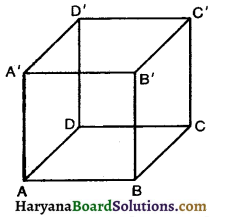 HBSE 10th Class Maths Notes Chapter 13 Surface Areas and Volumes 2