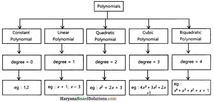 HBSE 10th Class Maths Notes Chapter 2 Polynomials 3