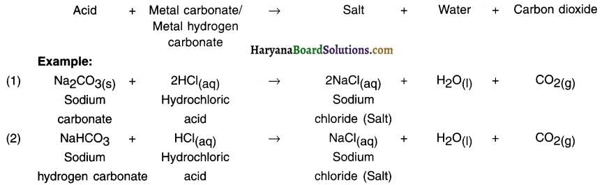HBSE 10th Class Science Important Questions Chapter 2 Acids, Bases and Salts 6