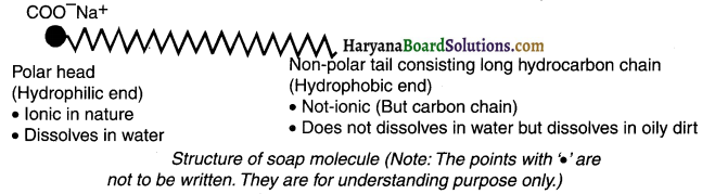 HBSE 10th Class Science Important Questions Chapter 4 Carbon and Its Compounds 45