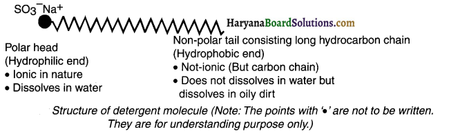 HBSE 10th Class Science Important Questions Chapter 4 Carbon and Its Compounds 46