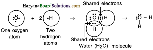 HBSE 10th Class Science Important Questions Chapter 4 Carbon and Its Compounds 5
