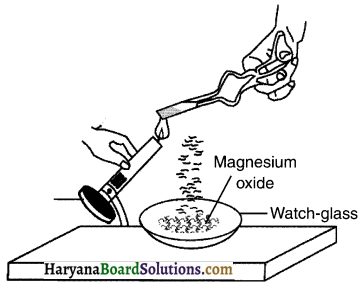 HBSE 10th Class Science Solutions Chapter 1 Chemical Reactions and Equations 13