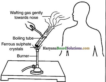 HBSE 10th Class Science Solutions Chapter 1 Chemical Reactions and Equations 17