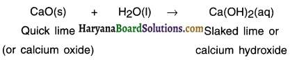 HBSE 10th Class Science Solutions Chapter 1 Chemical Reactions and Equations 34