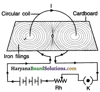 HBSE 10th Class Science Solutions Chapter 13 Magnetic Effects of Electric Current 7
