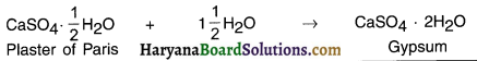HBSE 10th Class Science Solutions Chapter 2 Acids, Bases and Salts 10