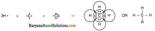 HBSE 10th Class Science Solutions Chapter 4 Carbon and Its Compounds 1