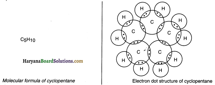 HBSE 10th Class Science Solutions Chapter 4 Carbon and Its Compounds 10
