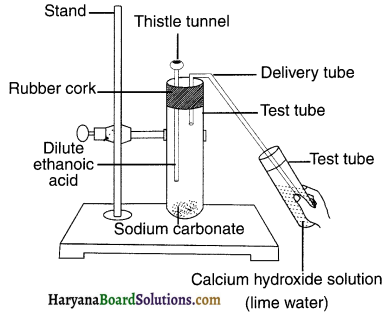 HBSE 10th Class Science Solutions Chapter 4 Carbon and Its Compounds 17