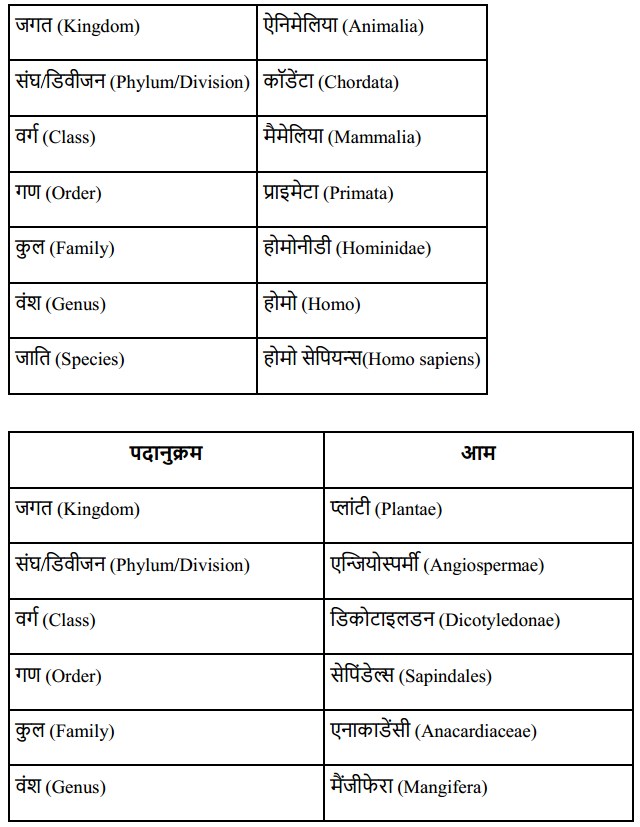 HBSE 11th Class Biology Solutions Chapter 1 जीव जगत 8