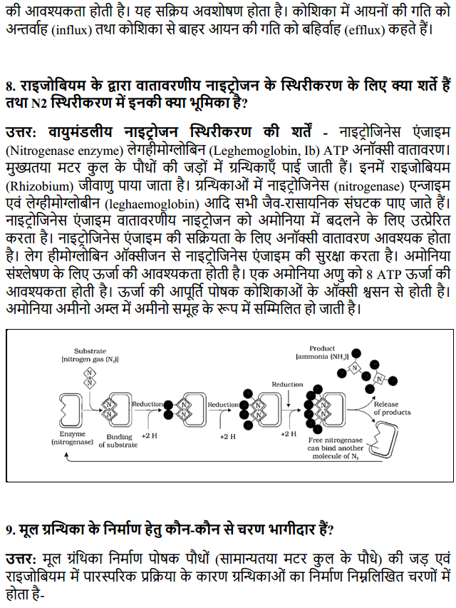 HBSE 11th Class Biology Solutions Chapter 12 खनिज पोषण 4