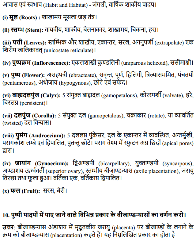 HBSE 11th Class Biology Solutions Chapter 5 पुष्पी पादपों की आकारिकी 17