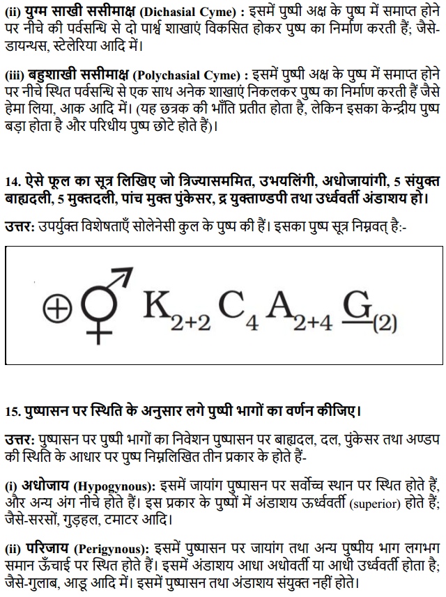 HBSE 11th Class Biology Solutions Chapter 5 पुष्पी पादपों की आकारिकी 25