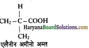 HBSE 11th Class Biology Solutions Chapter 9 जैव अणु 3