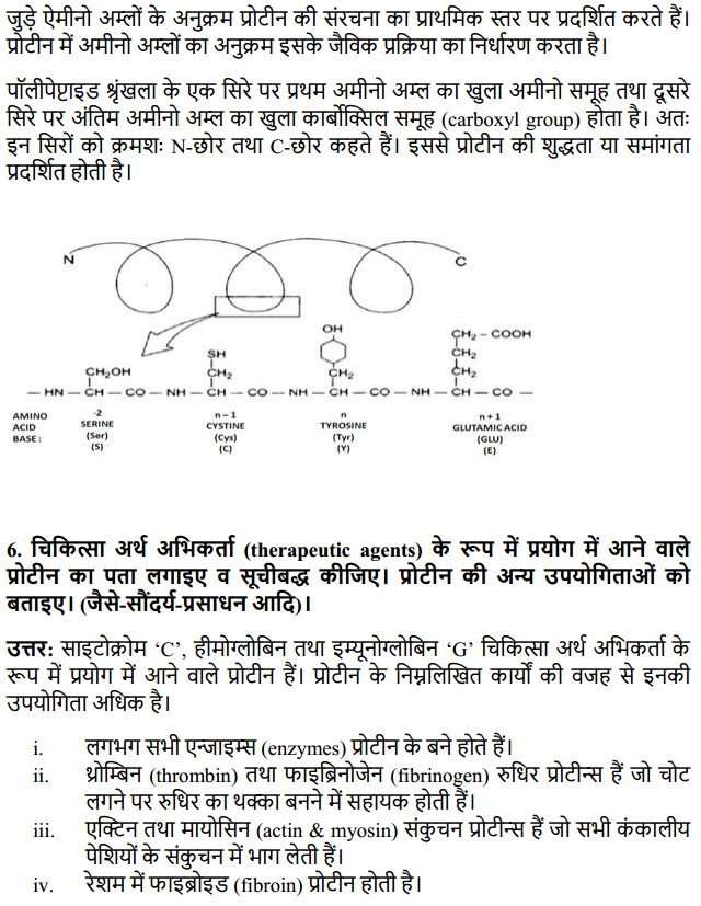 HBSE 11th Class Biology Solutions Chapter 9 जैव अणु 4