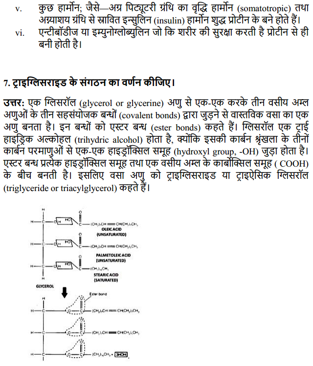 HBSE 11th Class Biology Solutions Chapter 9 जैव अणु 5