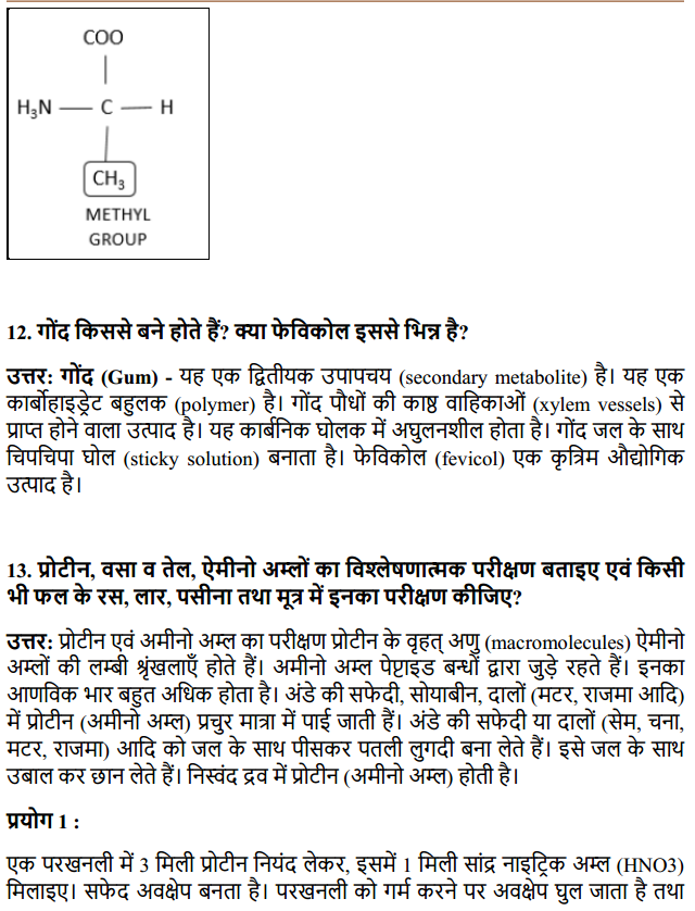 HBSE 11th Class Biology Solutions Chapter 9 जैव अणु 7