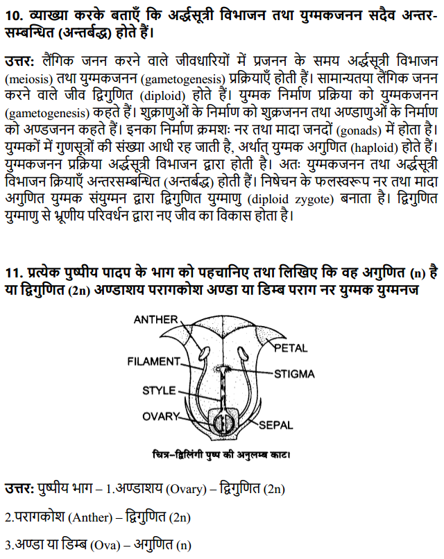 HBSE 12th Class Biology Solutions Chapter 1 जीवों में जनन 5