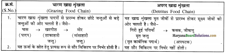 HBSE 12th Class Biology Solutions Chapter 14 पारितंत्र 1