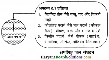 HBSE 12th Class Biology Solutions Chapter 16 पर्यावरण के मुद्दे 1