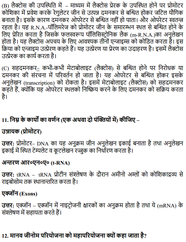 HBSE 12th Class Biology Solutions Chapter 6 वंशागति के आणविक आधार 10
