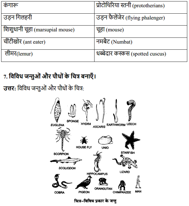 HBSE 12th Class Biology Solutions Chapter 7 विकास 5