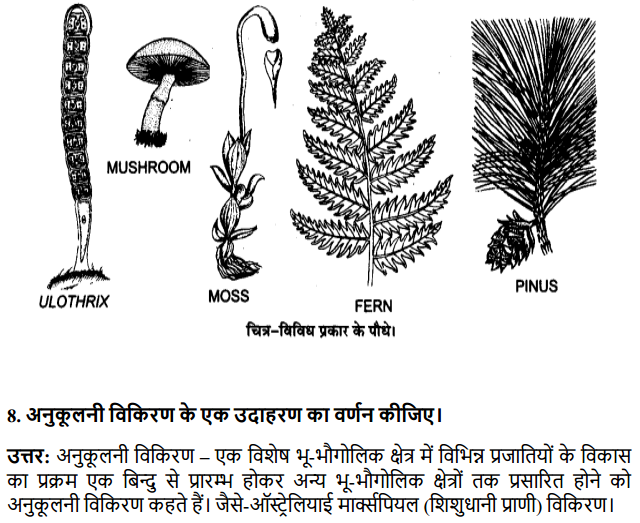 HBSE 12th Class Biology Solutions Chapter 7 विकास 6