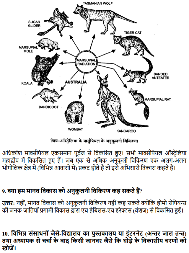 HBSE 12th Class Biology Solutions Chapter 7 विकास 7