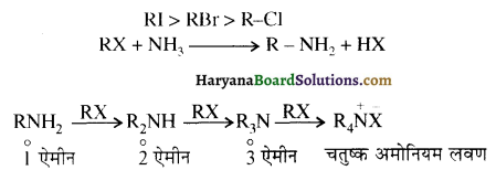 HBSE 12th Class Chemistry Solutions Chapter 13 ऐमीन 10a
