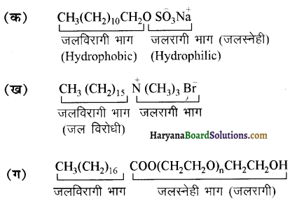 HBSE 12th Class Chemistry Solutions Chapter 16 दैनिक जीवन में रसायन 10