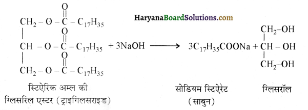 HBSE 12th Class Chemistry Solutions Chapter 16 दैनिक जीवन में रसायन 7