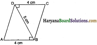 HBSE 9th Class Maths Important Questions Chapter 12 हीरोन सूत्र 6