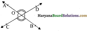 HBSE 9th Class Maths Important Questions Chapter 6 रेखाएँ और कोण 1