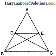 HBSE 9th Class Maths Important Questions Chapter 9 समान्तर चतुर्भुज और त्रिभुजों के क्षेत्रफल 13