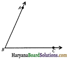 HBSE 9th Class Maths Notes Chapter 6 Lines and Angles 1