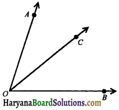 HBSE 9th Class Maths Notes Chapter 6 Lines and Angles 13