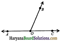 HBSE 9th Class Maths Notes Chapter 6 Lines and Angles 16