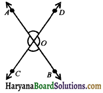 HBSE 9th Class Maths Notes Chapter 6 Lines and Angles 17
