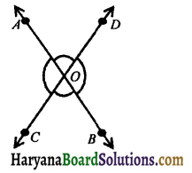 HBSE 9th Class Maths Notes Chapter 6 Lines and Angles 18