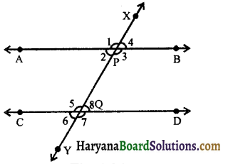 HBSE 9th Class Maths Notes Chapter 6 Lines and Angles 21