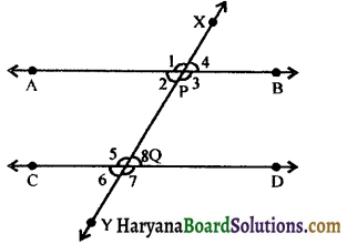 HBSE 9th Class Maths Notes Chapter 6 Lines and Angles 23
