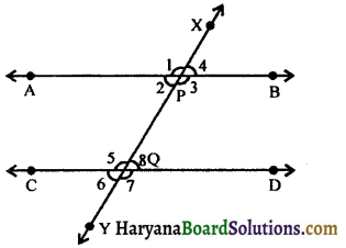 HBSE 9th Class Maths Notes Chapter 6 Lines and Angles 24