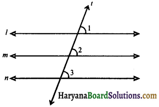 HBSE 9th Class Maths Notes Chapter 6 Lines and Angles 25